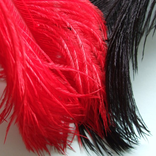 Ostrich Feathers, Herl, Fly Tying Feathers, Choice of colours, used in fly tying Ostrich Feathers, Herl, Fly Tying Feathers, Choice of colours, used in fly tying
